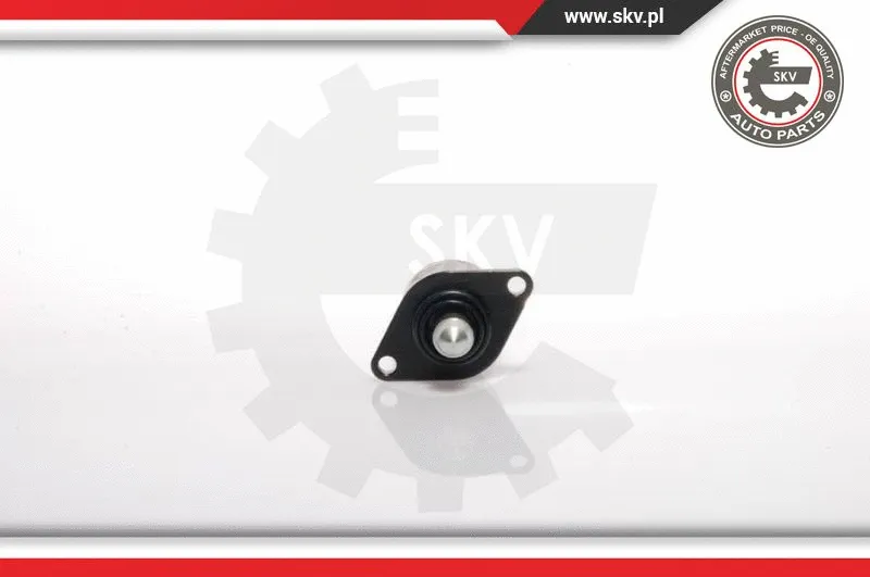 Idle Control Valve, air supply (08SKV025)