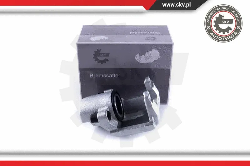 Brake Caliper (55SKV601)