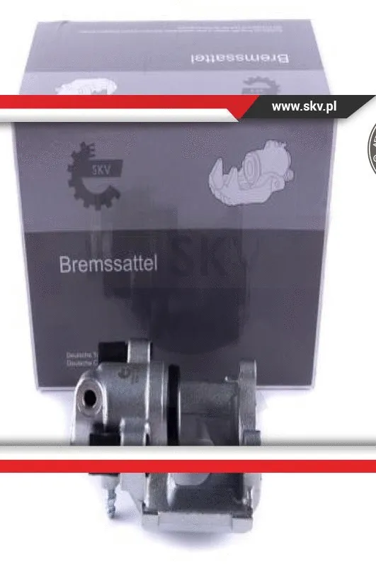 Brake Caliper (55SKV164)