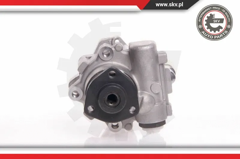 Hydraulic Pump, steering (10SKV145)