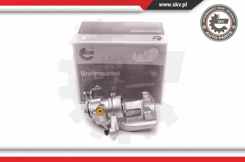 Brake Caliper (23SKV318)