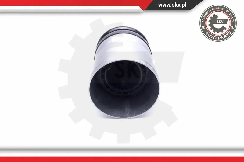 Air Suspension Strut