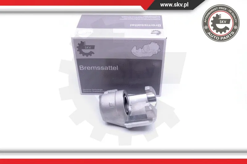Brake Caliper (42SKV672)