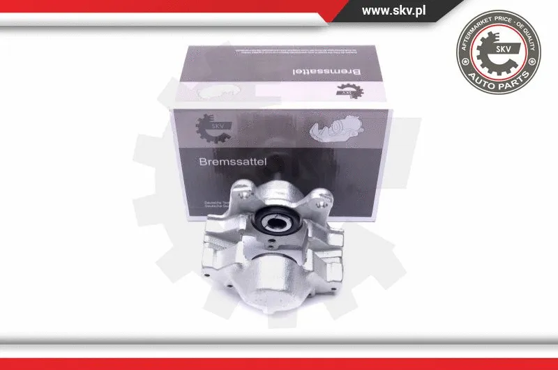 Brake Caliper (46SKV473)