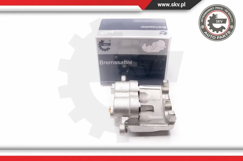 Brake Caliper (23SKV921)