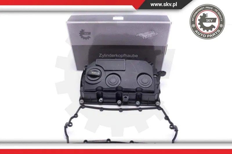 Cylinder Head Cover (48SKV074)