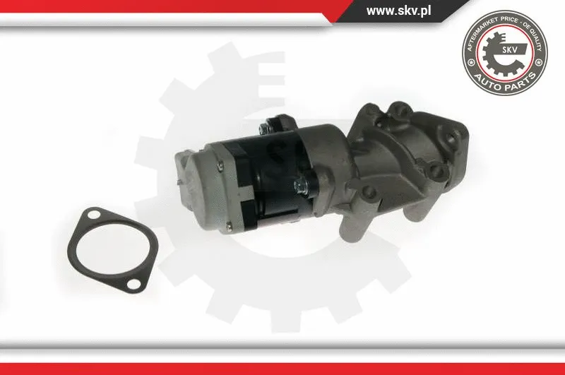EGR Valve (14SKV089)
