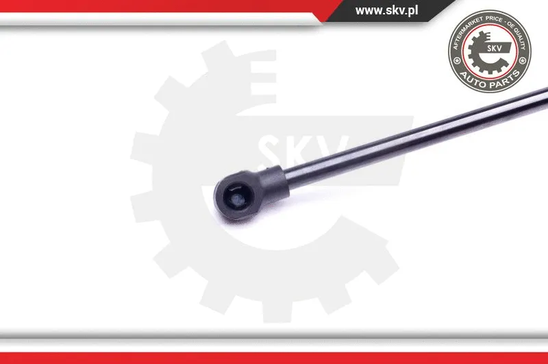 Gas Spring, boot/cargo area