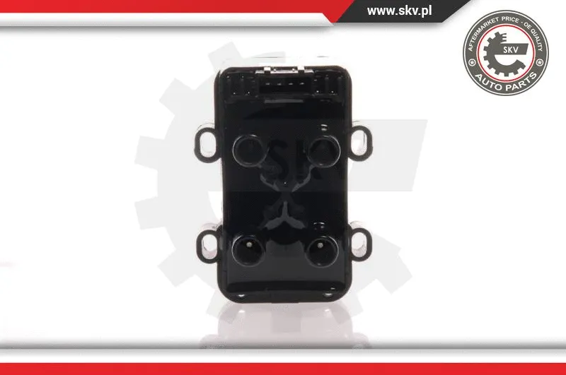 Ignition Coil (03SKV058)