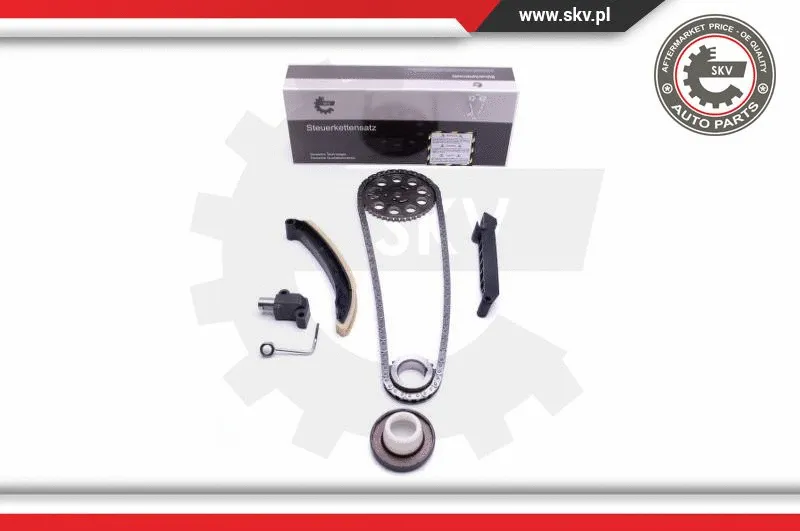 Timing Chain Kit (21SKV208)