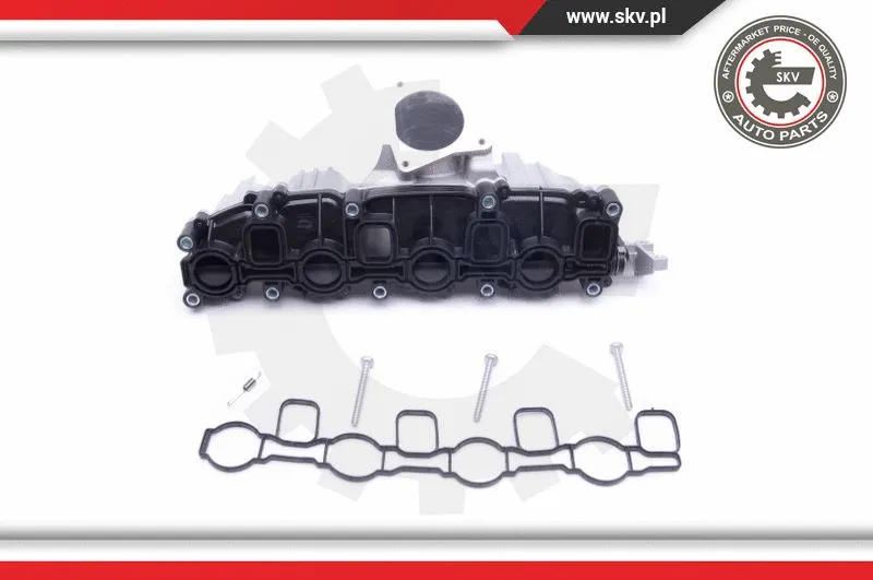 Intake Manifold Module