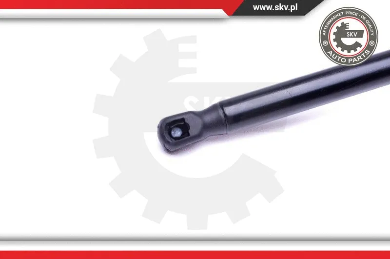Gas Spring, boot/cargo area