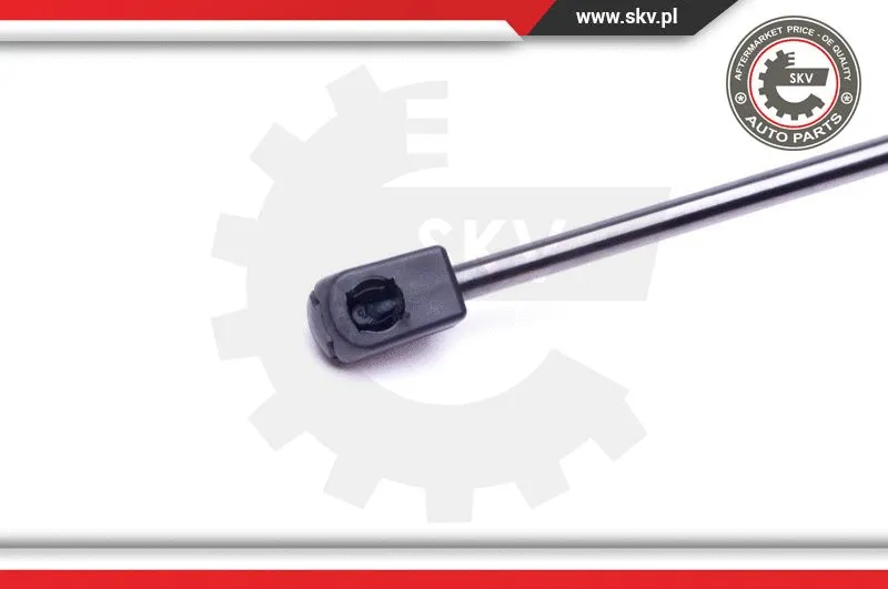 Gas Spring, boot/cargo area