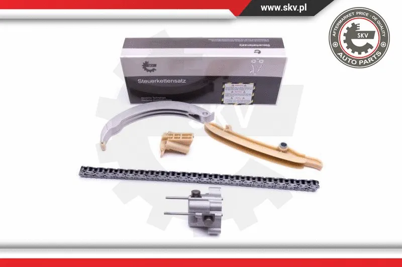 Timing Chain Kit (21SKV164)
