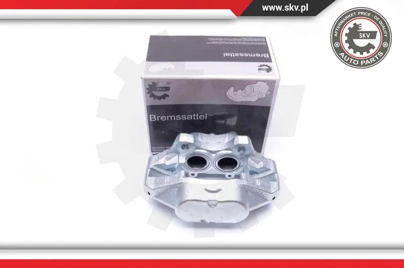 Brake Caliper (34SKV912)