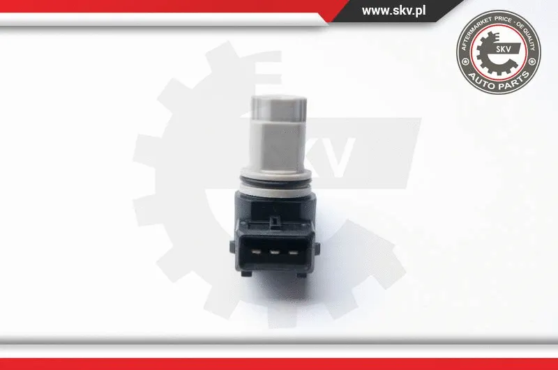 Sensor, camshaft position (17SKV261)