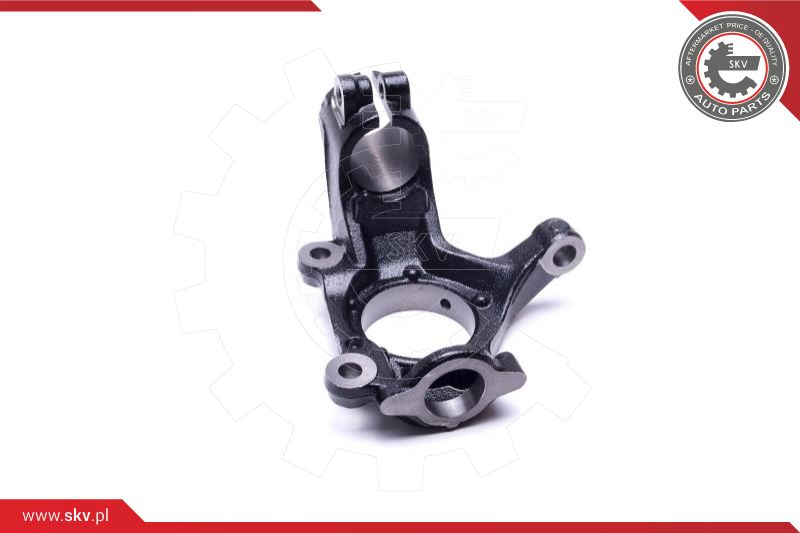 Steering Knuckle, wheel suspension