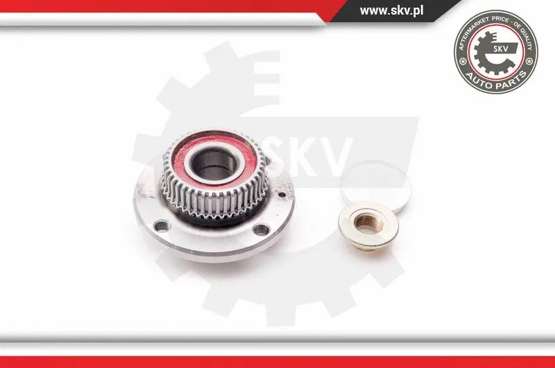 Wheel Bearing Kit