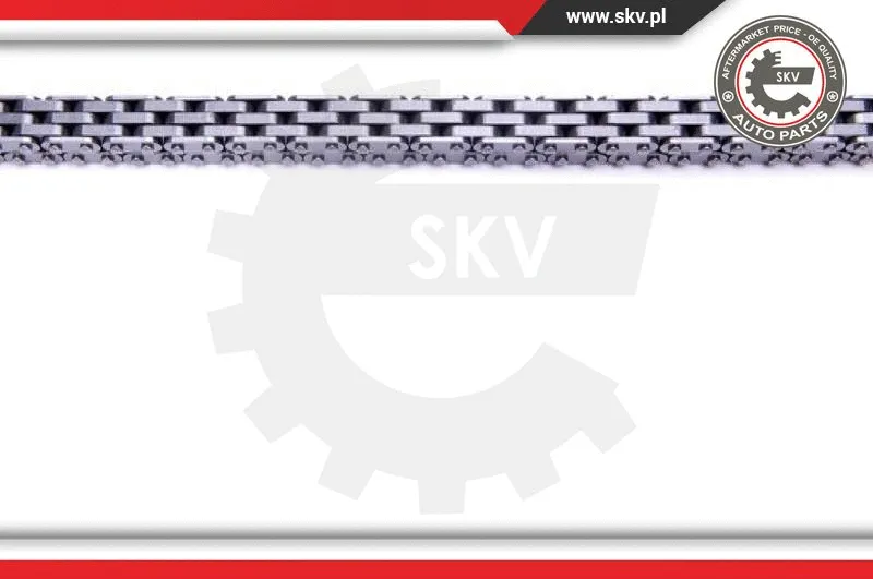Timing Chain Kit