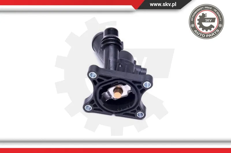 Thermostat, coolant