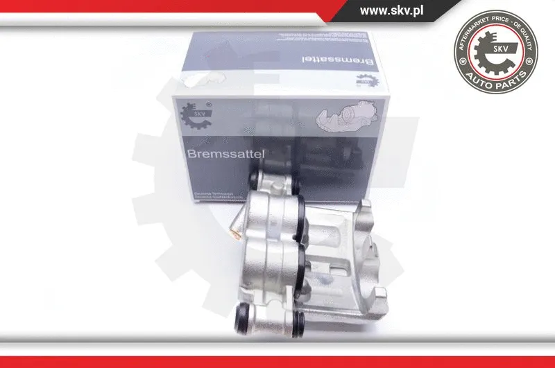 Brake Caliper (42SKV331)
