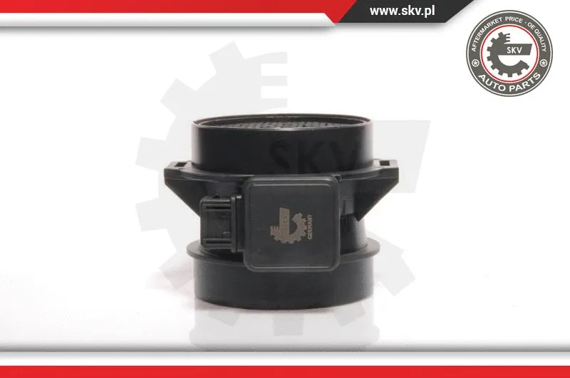 Mass Air Flow Sensor