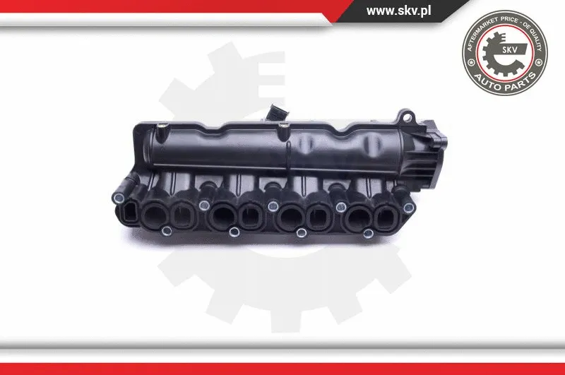 Intake Manifold Module