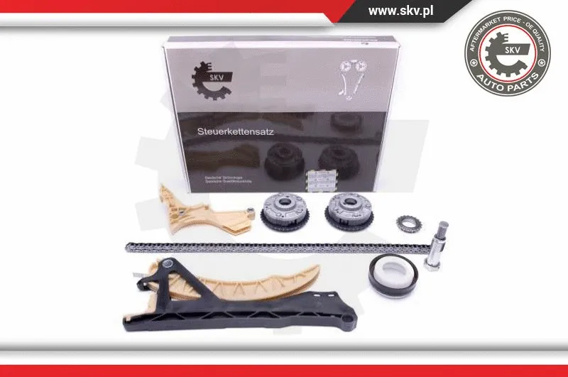 Timing Chain Kit (21SKV168)
