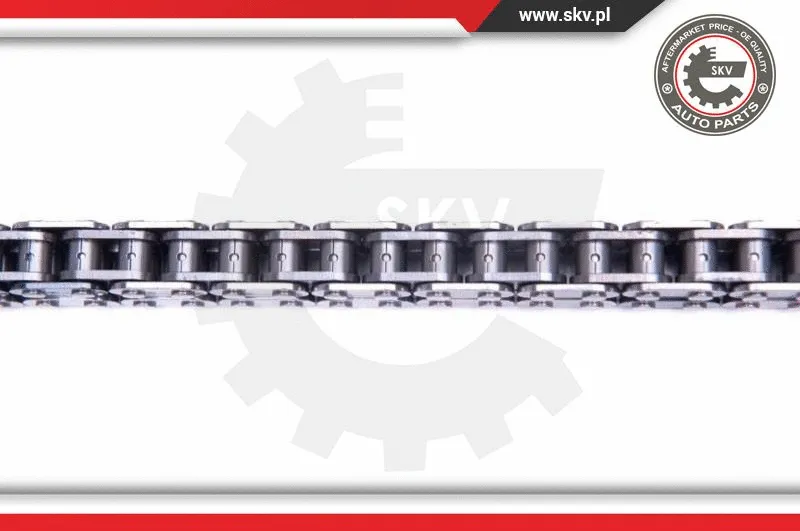 Timing Chain Kit