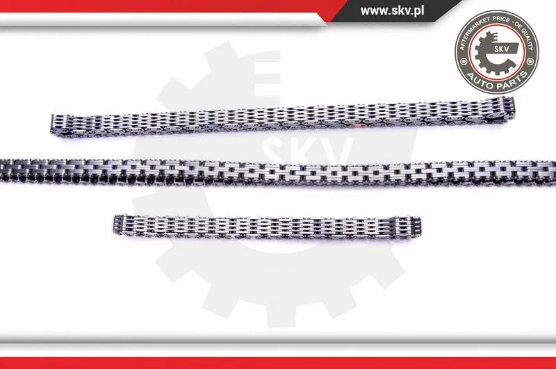 Timing Chain Kit