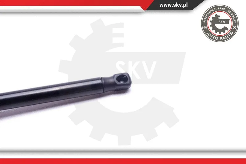 Gas Spring, boot/cargo area
