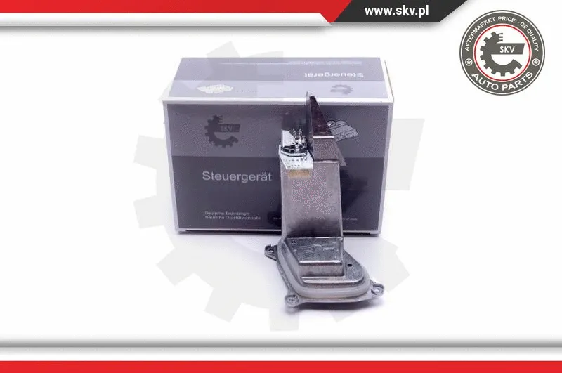 Control Unit, lights (59SKV125)
