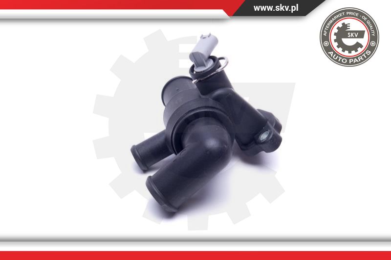 Thermostat, coolant
