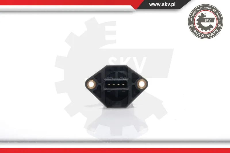 Mass Air Flow Sensor
