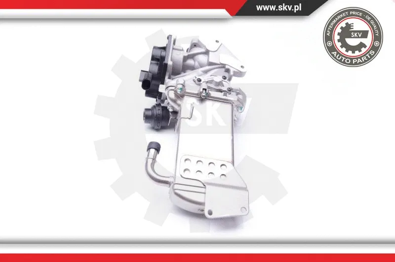 EGR Valve