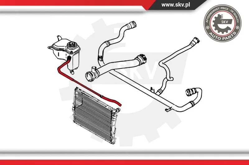 Radiator Hose