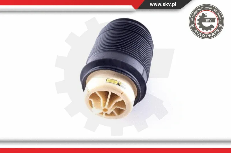 Air Spring, suspension