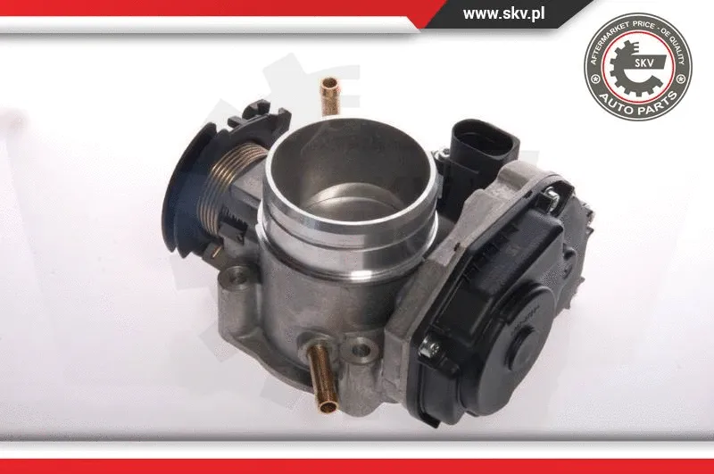 Throttle Body (12SKV020)