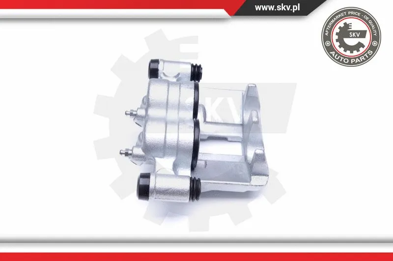 Brake Caliper (42SKV861)