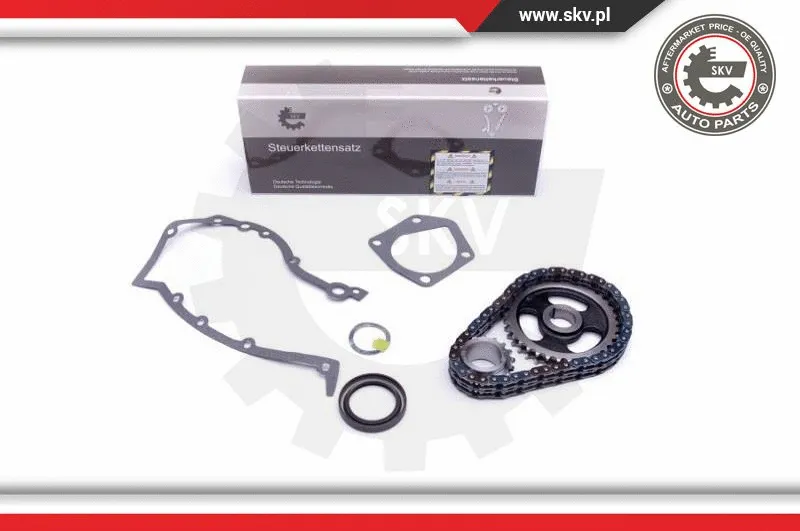 Timing Chain Kit (21SKV218)