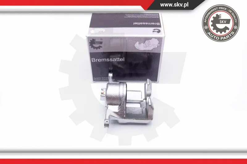 Brake Caliper (42SKV241)