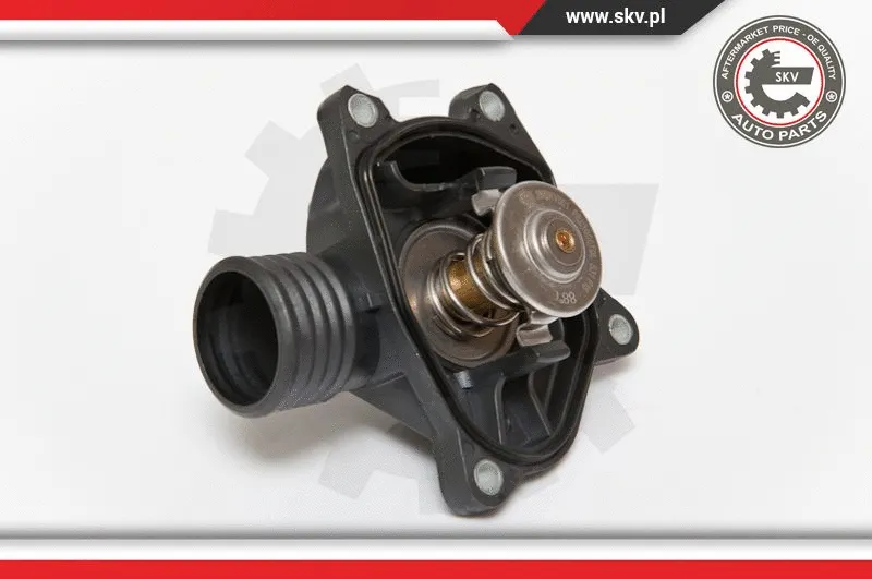 Thermostat, coolant