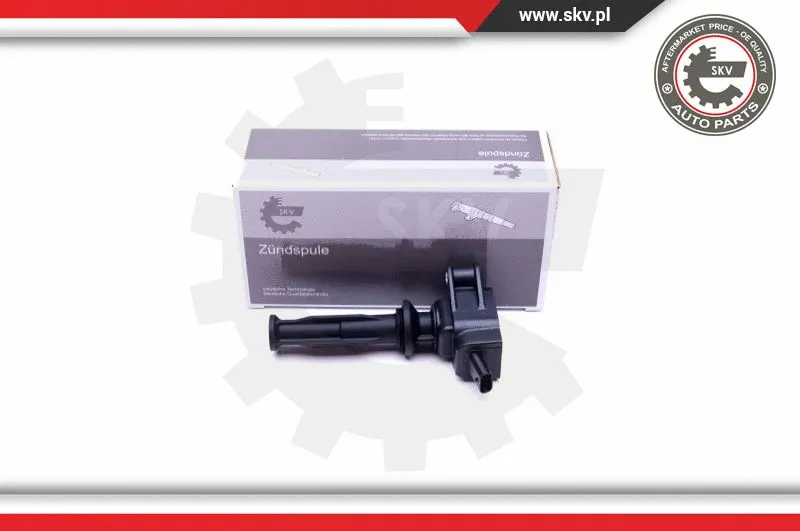 Ignition Coil (03SKV303)