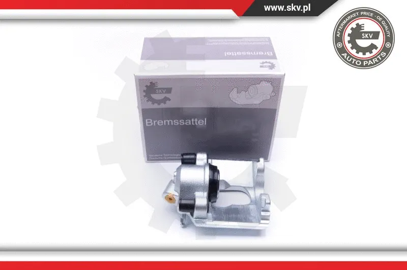 Brake Caliper (42SKV191)