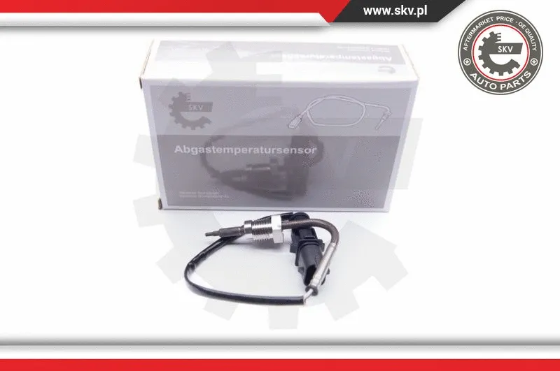 Sensor, exhaust gas temperature (30SKV094)