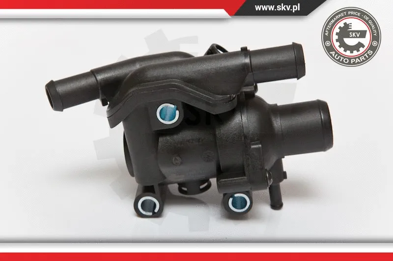 Thermostat, coolant