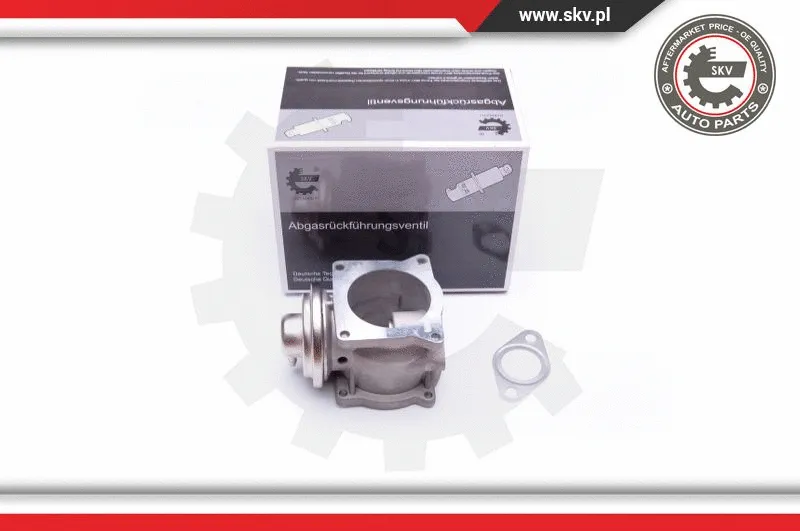 EGR Valve (14SKV108)
