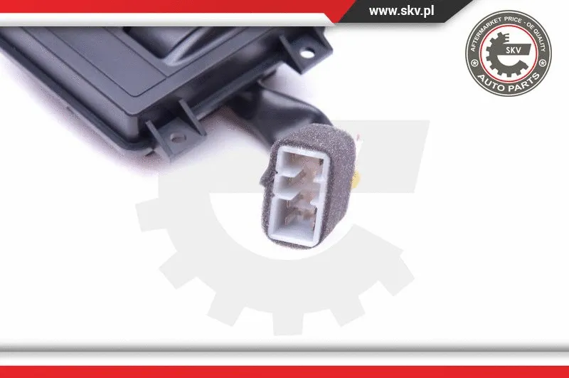 Switch, window regulator