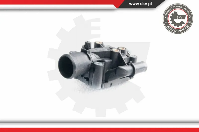 Thermostat, coolant