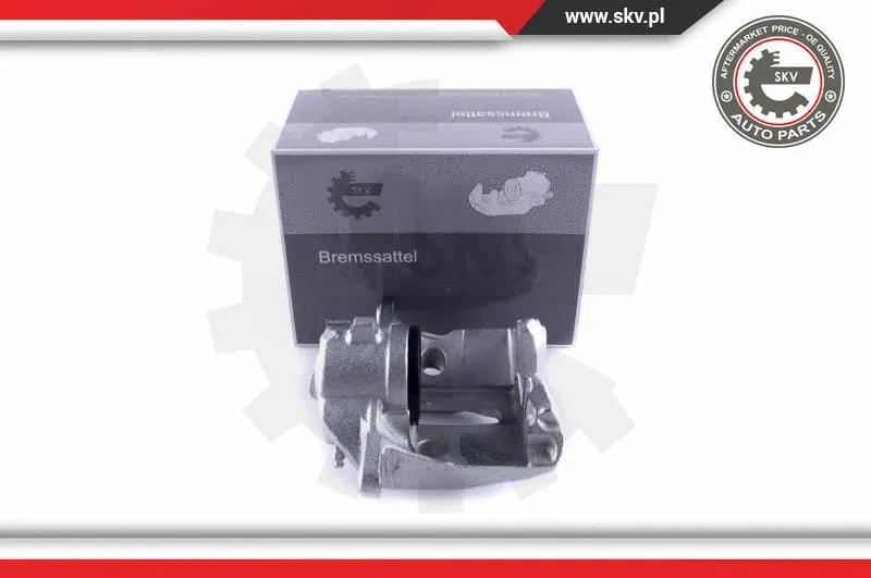 Brake Caliper (55SKV171)